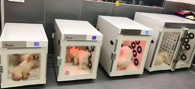 艾尔法宠物烘干机和pettim哪个好