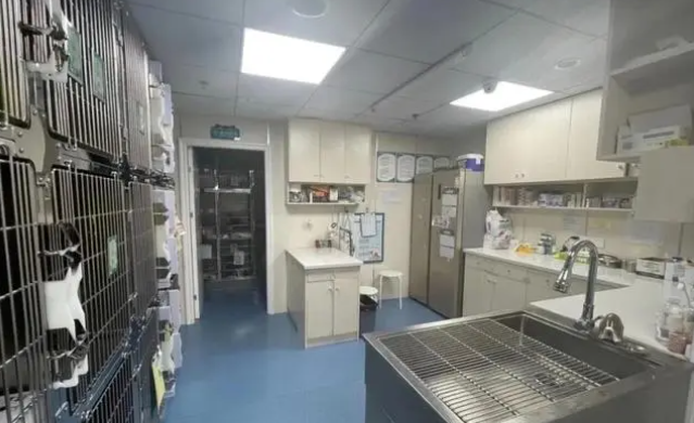 方庄宠物医院怎么样