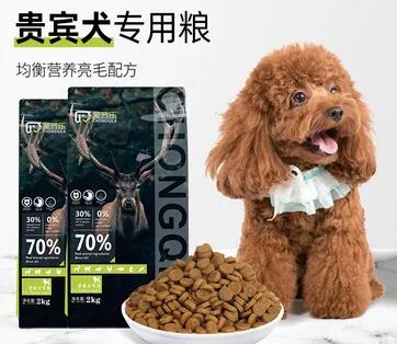 如何给贵宾犬做狗粮视频