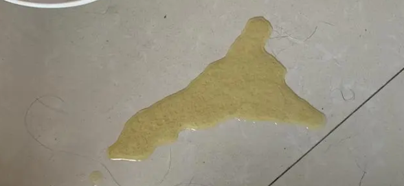 猫咪肚子一抽一抽的吐黄水 猫咪肚子一抽一抽的吐黄水