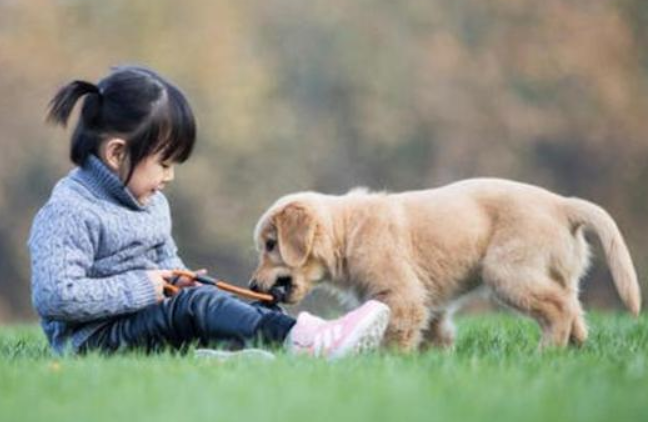 宠物狗对小孩子有影响吗 宠物狗对小孩子有影响吗