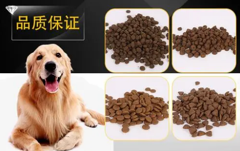 如何代理国外狗粮品牌 如何代理国外狗粮品牌