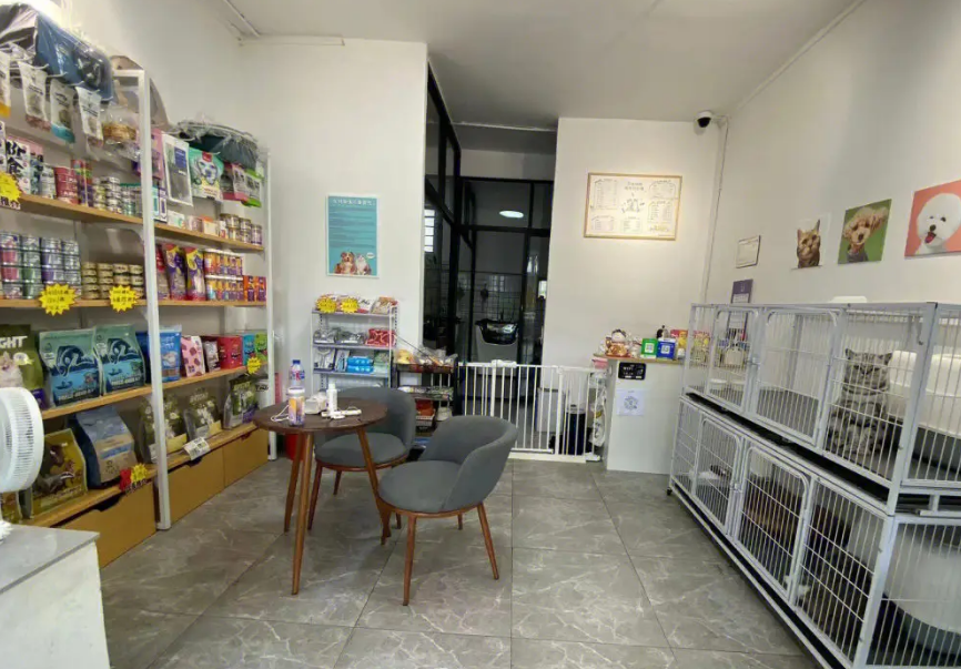 开一个宠物店大概要多少钱
