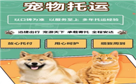 宠物托运公司电话多少