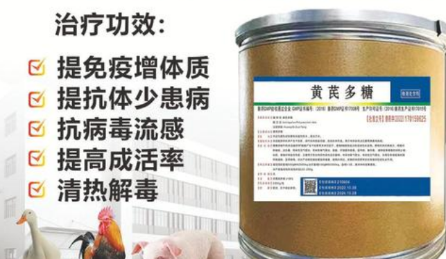 兽用黄芪多糖可以和什么药物搭配