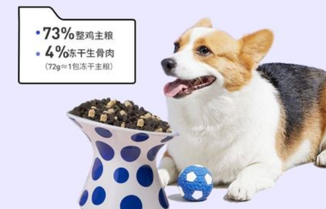 柯基犬粮哪种好 柯基犬粮哪种好