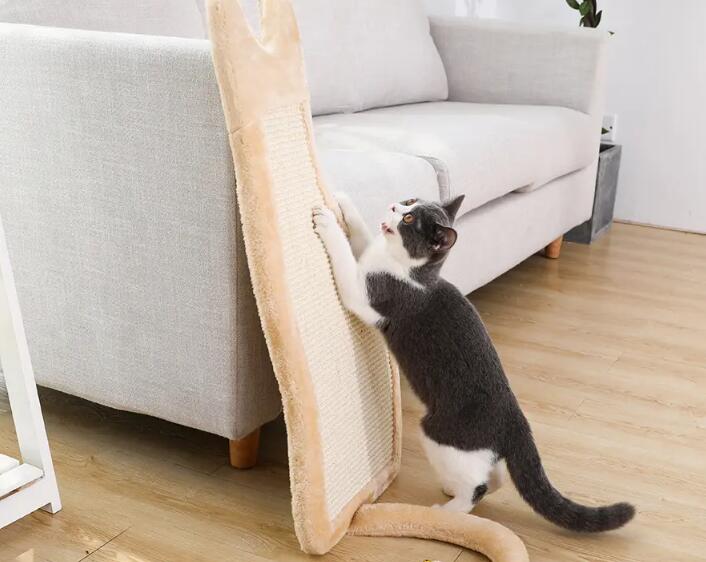 如何防止猫咪抓墙?改掉猫咪用爪子挠墙的坏习惯 如何防止猫咪抓墙?改掉猫咪用爪子挠墙的坏习惯