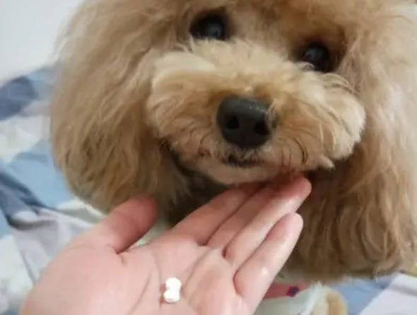 乐派多驱虫怎么样