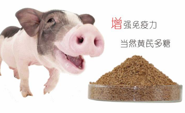 兽用黄芪多糖有别名吗