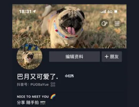 抖音介绍狗狗简介 抖音介绍狗狗简介
