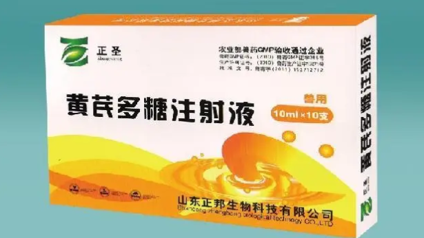 黄芪多糖使用量