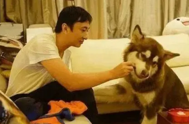 捡到王思聪狗的人