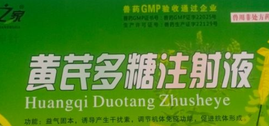 黄芪多糖的应用