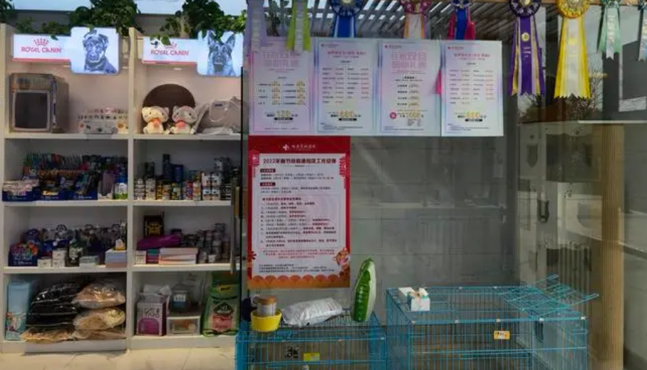 宠物用品店怎么开有特色 宠物用品店怎么开有特色