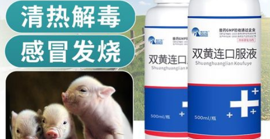 双黄连口服液治鼻塞吗
