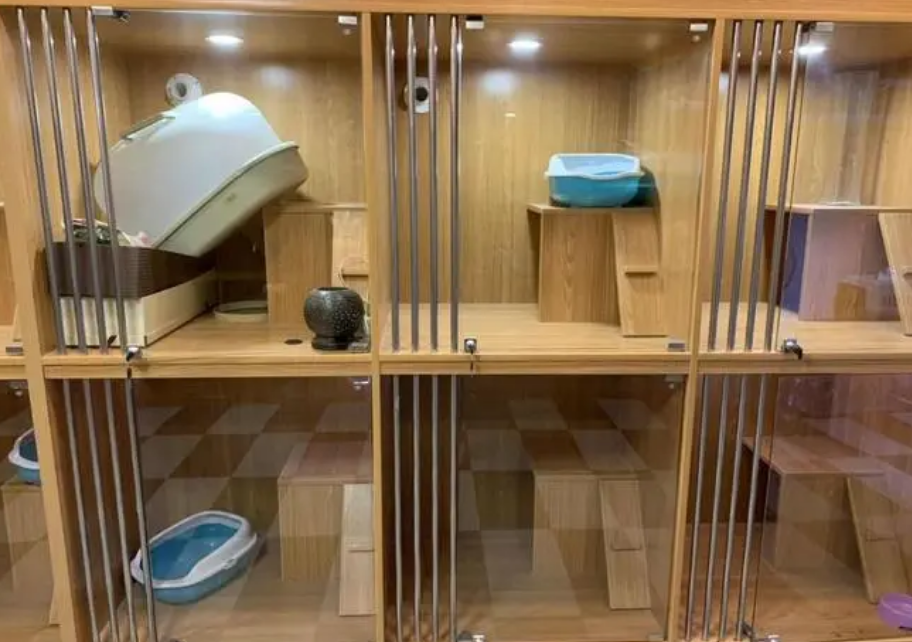 开宠物店加盟需要多少钱