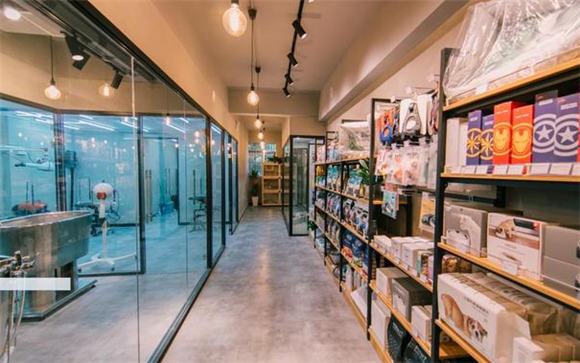 开一家宠物店大概要多少钱