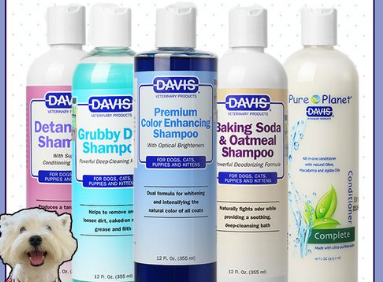 柯基沐浴露推荐：戴维斯（Davis ）奢华香波