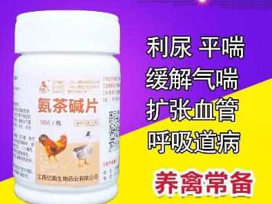 氨茶碱片是治什么的