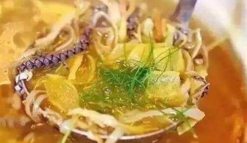 广东蛇种类图解