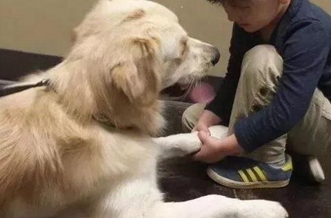 家里有小孩适不适合养狗呢