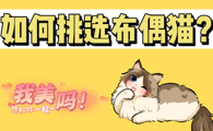 如何挑选布偶猫？这几个事项一定要注意