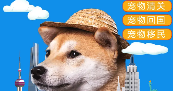 同城宠物怎么邮寄