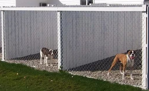 江苏哪里有犬舍