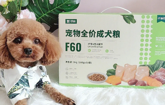 小仙豆F60和F70的区别 小仙豆F60和F70的区别