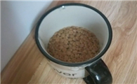 小猫的猫粮可以泡水吗
