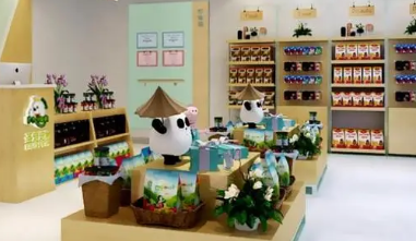 宠物店的加盟费大概多少钱