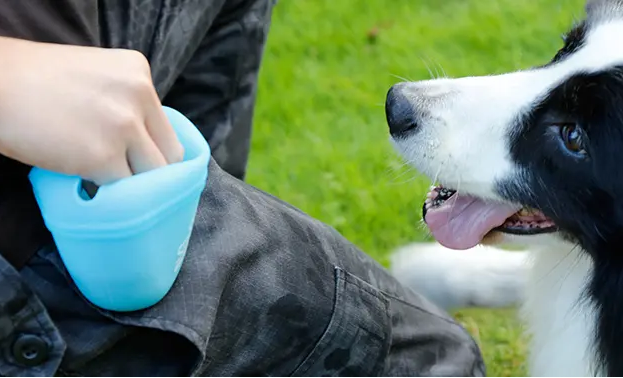 如何用狗粮训犬