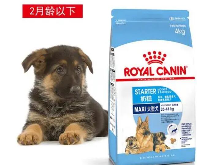 皇家狗粮如何喂养的 皇家狗粮如何喂养的