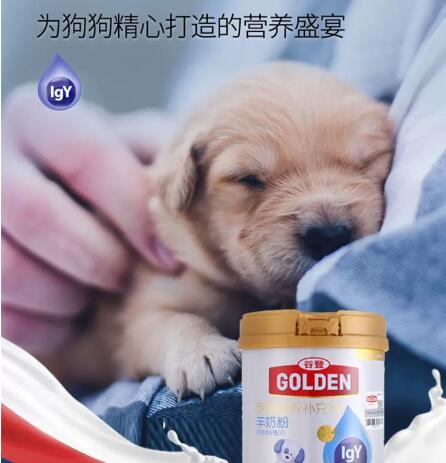 狗狗奶粉推荐？了解下