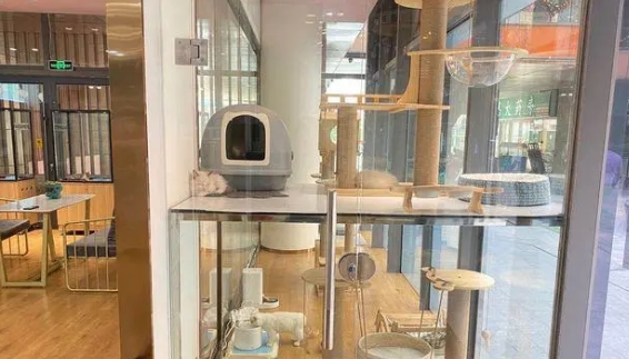 宠物店不加盟怎么找货源