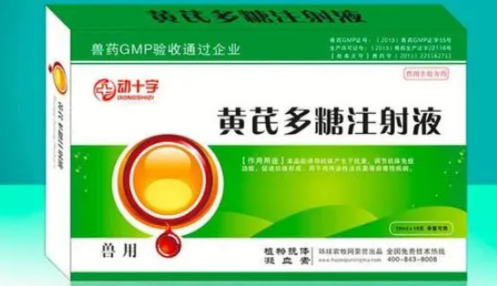 黄芪多糖可以输液吗