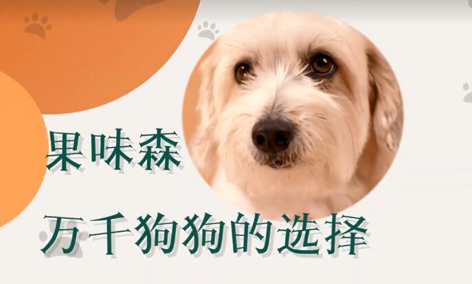 果味森，万千狗狗的选择