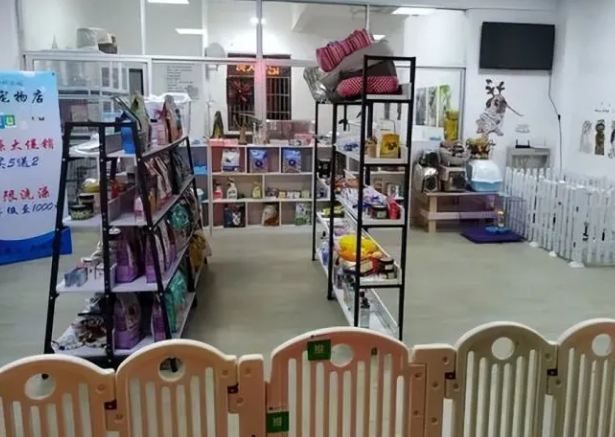 开一家宠物店的成本是多少 开一家宠物店的成本是多少