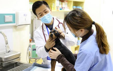 宠物医院有哪些部门 宠物医院有哪些部门
