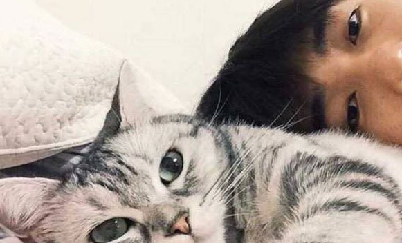 为什么说男人养猫为了性