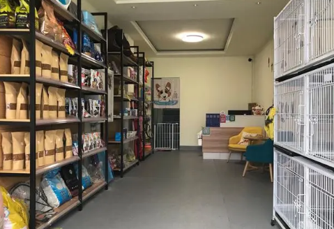 宠物店寄养一天多少