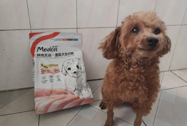 麦顿和麦富迪哪个好