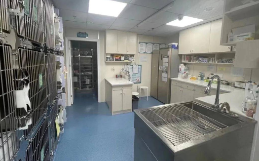 北流哪里有宠物医院