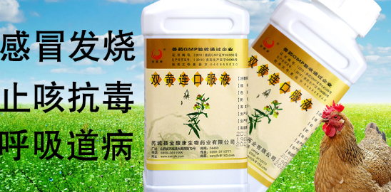 双黄连口服液能治感冒吗