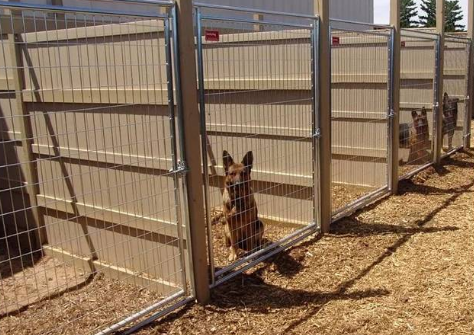 正规犬舍怎么找 正规犬舍怎么找