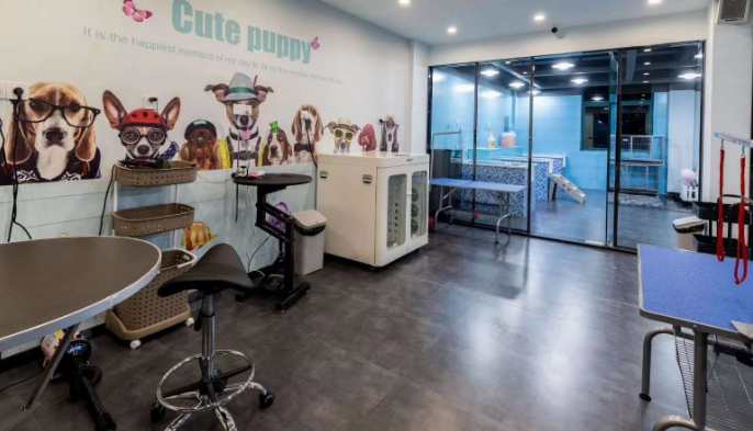 开一家宠物店需要什么手续 开一家宠物店需要什么手续