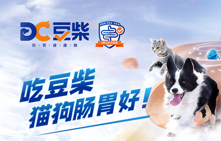 豆柴官网网址