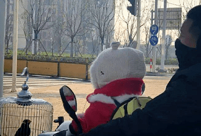 路上遇到一位小朋友,凑近后觉得不对劲,哪来的小可爱