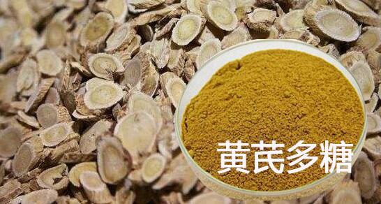 兽用黄芪多糖的成分是什么