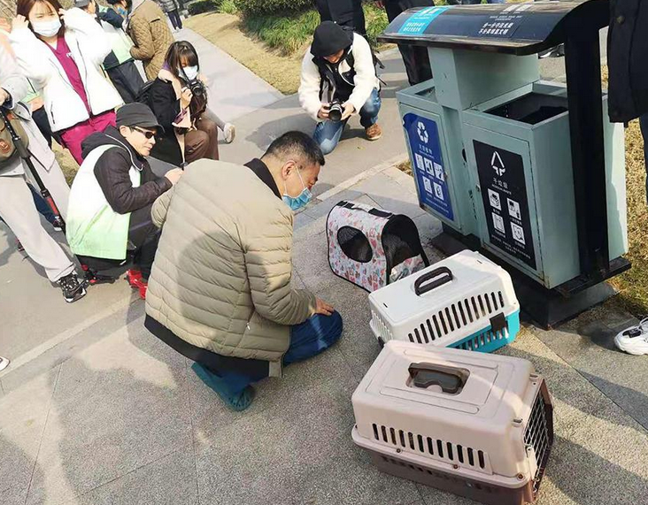 社区来了辆移动绝育车,一出门猫狗就“不完整”了 社区来了辆移动绝育车,一出门猫狗就“不完整”了
